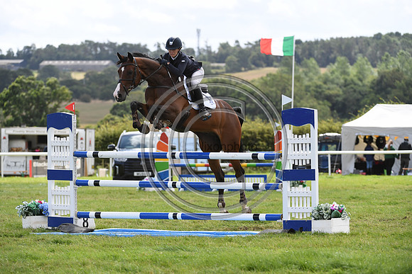 Burgham International Horse