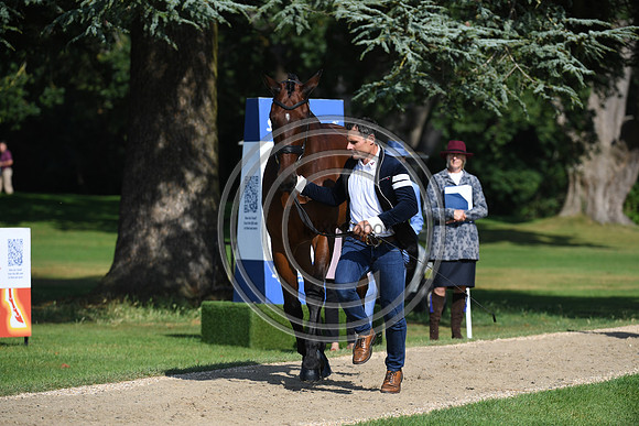 Alexander Bragg_Zagreb_BPIHT_PN21_55308