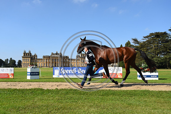 Alexander Bragg_Zagreb_BPIHT_PN21_55321