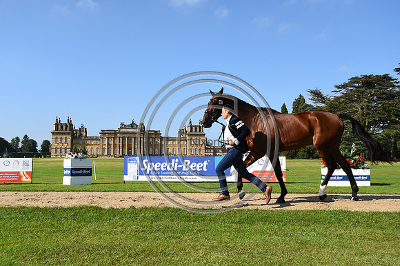 Alexander Bragg_Zagreb_BPIHT_PN21_55320