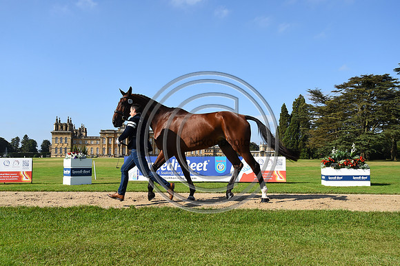 Alexander Bragg_Zagreb_BPIHT_PN21_55324