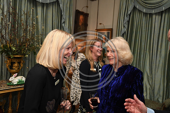DUCHESS OF CORNWALL_BEF_PN22_11034
