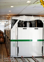 OlympicHorses_08KH260