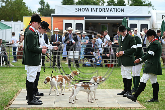 Festival of Hounds 2024