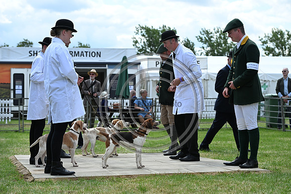 Festival of Hounds 2024
