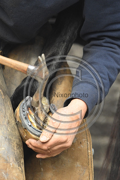 Nigel Perrott_Farrier_PN20_51824