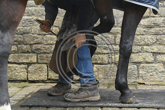 Nigel Perrott_Farrier_PN20_51837