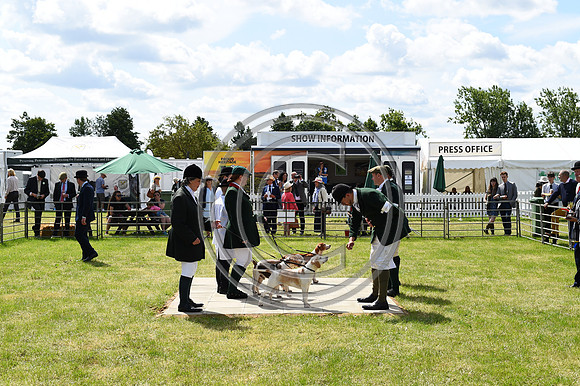 Festival of Hounds 2024