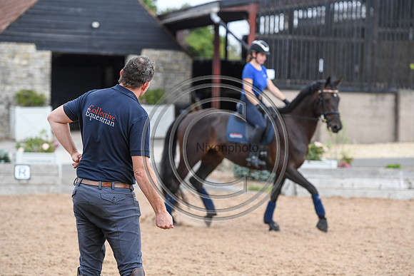 Collective Equestrian