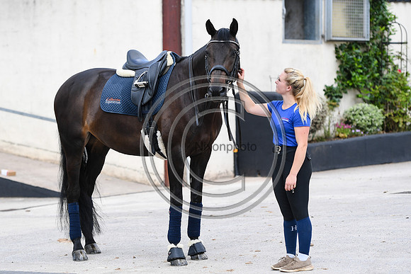 Collective Equestrian