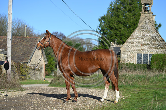 Mare_Selwood_PN39