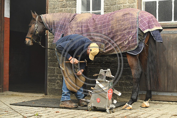 Nigel Perrott_Farrier_PN20_51839