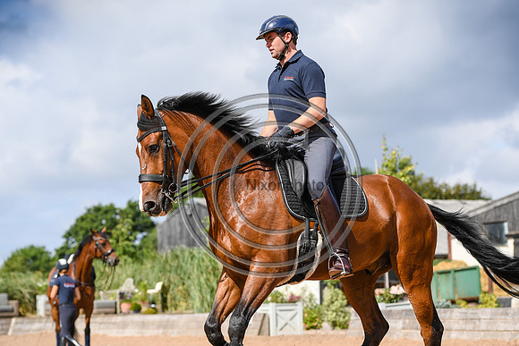 Collective Equestrian