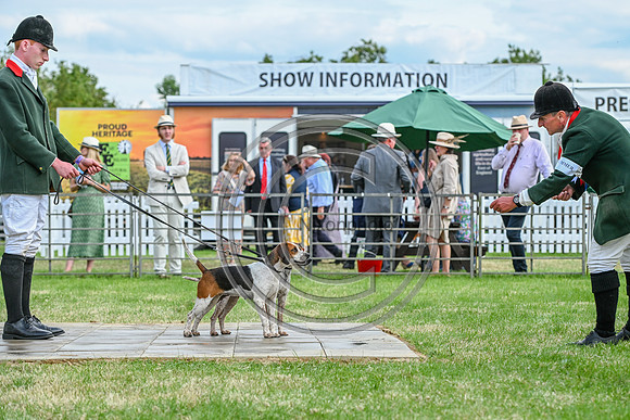 Festival of Hounds 2024