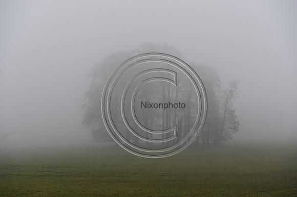 HHD_NCH_PN23_291