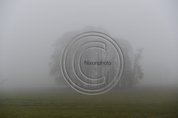 HHD_NCH_PN23_19