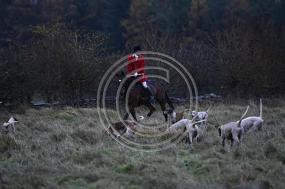 HHD_NCH_PN23_271