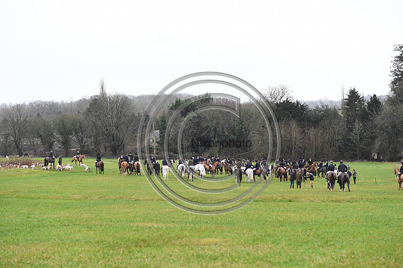 Duke of Beaufort's Hunt  08 01 22