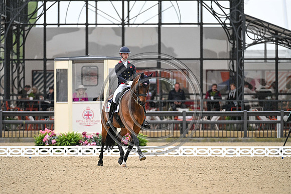 Lewis Carrier_Diego V_RWHS_PN24_130990