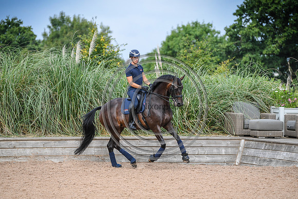 Collective Equestrian