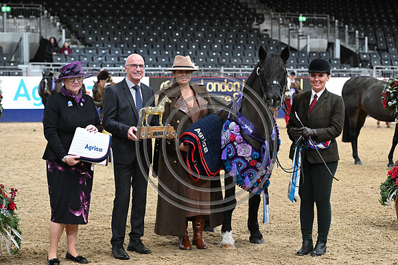 London International Horse Show