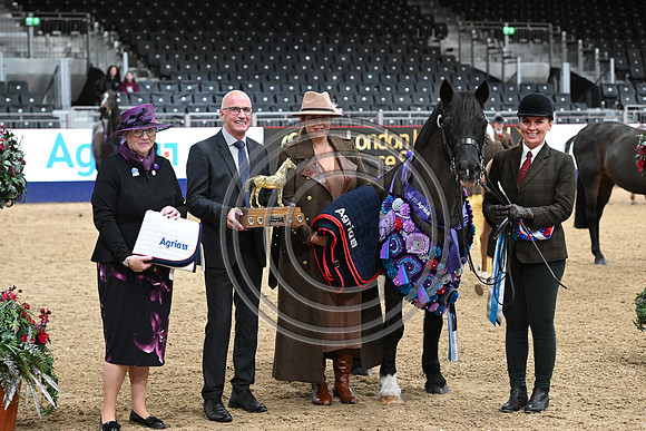 London International Horse Show