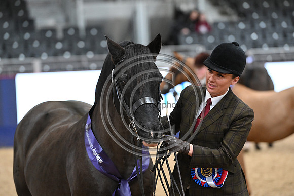 London International Horse Show