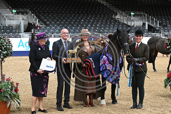 London International Horse Show