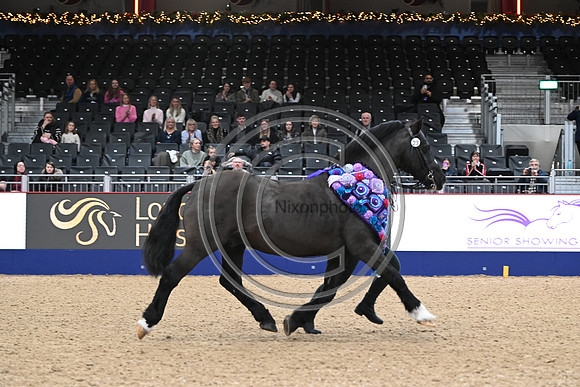 London International Horse Show