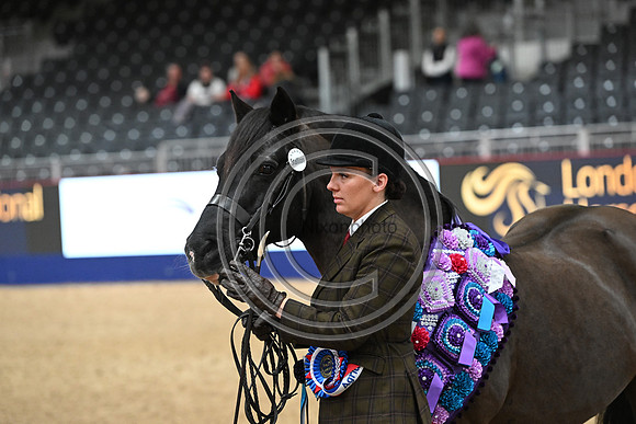 London International Horse Show