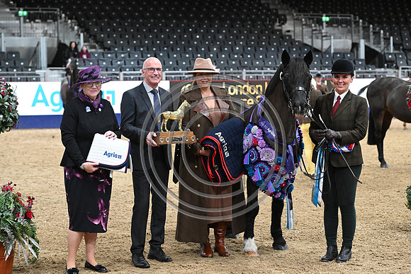London International Horse Show