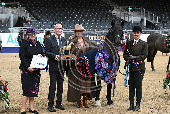 London International Horse Show