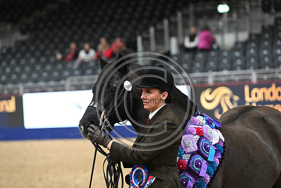 London International Horse Show