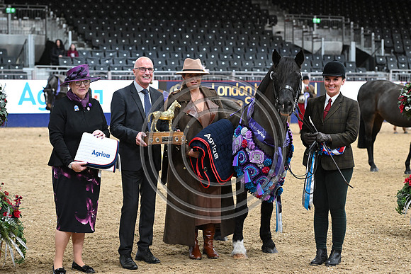 London International Horse Show