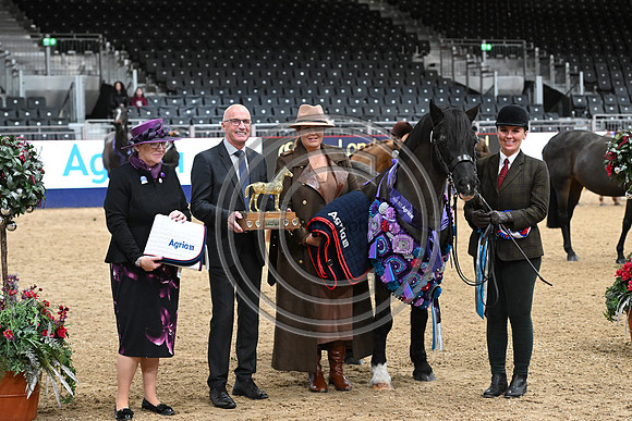 London International Horse Show