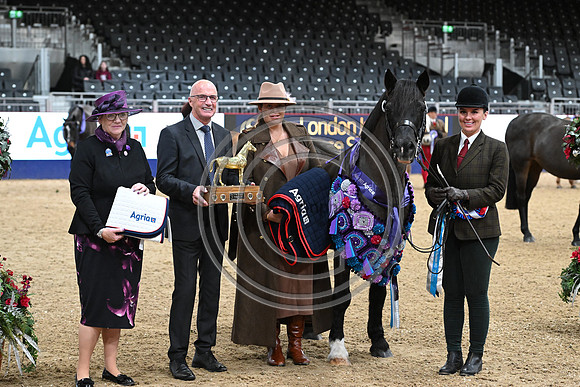 London International Horse Show