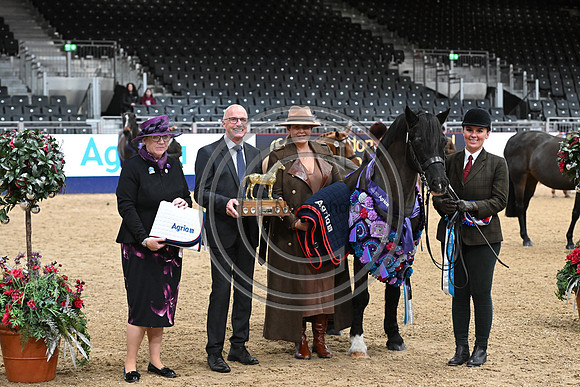 London International Horse Show