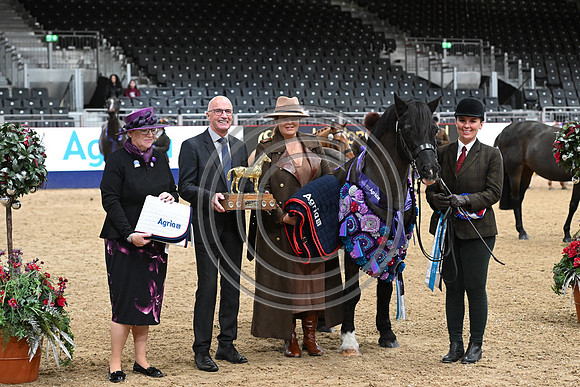 London International Horse Show