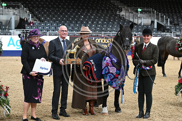 London International Horse Show