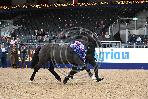 London International Horse Show