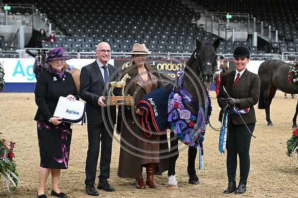 London International Horse Show