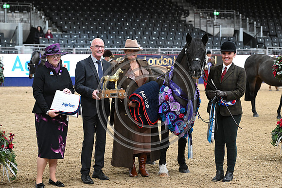 London International Horse Show