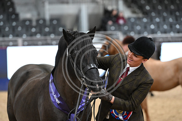 London International Horse Show
