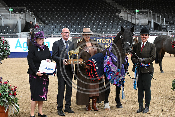 London International Horse Show