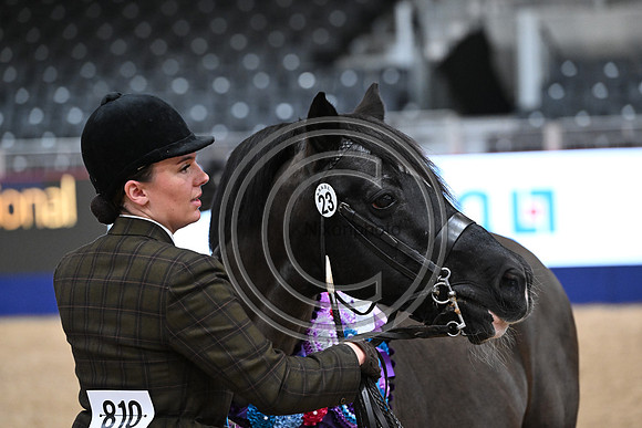 London International Horse Show