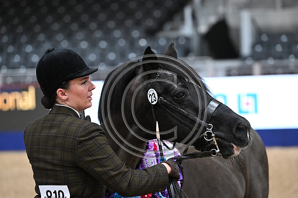 London International Horse Show