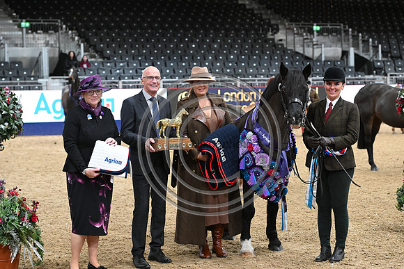 London International Horse Show