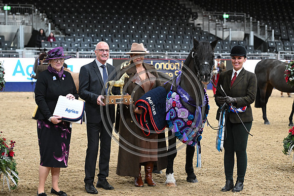 London International Horse Show