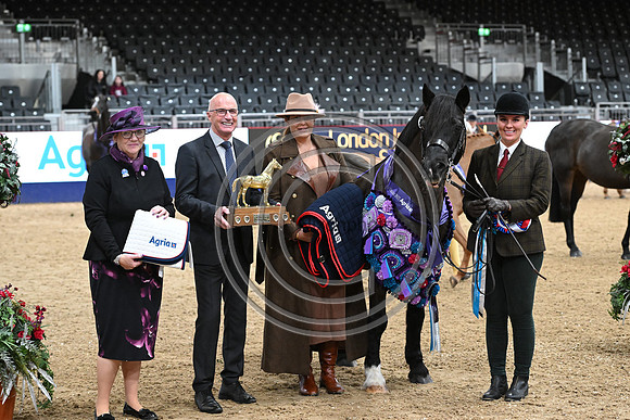 London International Horse Show