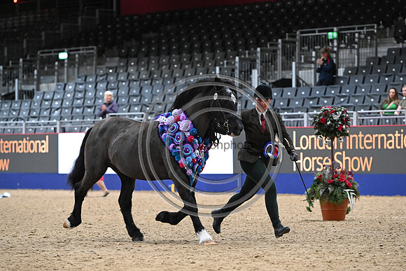 London International Horse Show